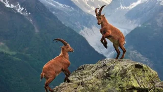 68c2c8fe66a01 68c2c8fe66a01